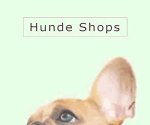 shops-hunde_300250