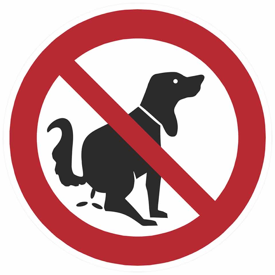 hundeweg_hundekot_960960