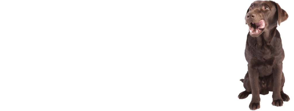 hundeweg-hundefutter_1_1200455